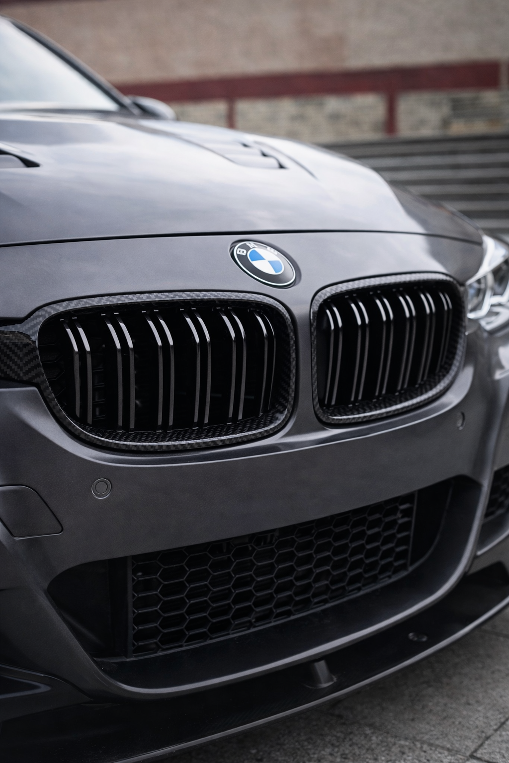 Parrilla Fibra de Carbono Real Doble Rejilla BMW Serie 3 | Look Sport / OEM+