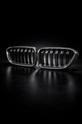 Parrilla Fibra de Carbono Real Doble Rejilla BMW Serie 2 | Look Sport / OEM+