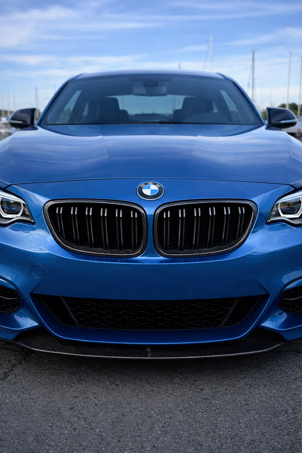 Parrilla Fibra de Carbono Real Doble Rejilla BMW Serie 2 | Look Sport ...